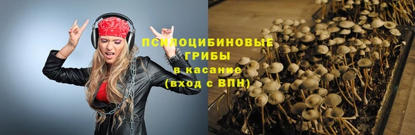 соль курить ск Липки